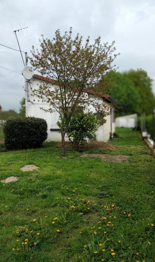 Maison Studio Individuelle Fraichement Renovee Paray-le-Frésil Екстериор снимка